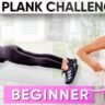 5-Minute Plank Challenge To Burn Belly Fat Fast | BEGINNERS!