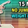 15 Min No Jumping Workout To Lose Weight At Home